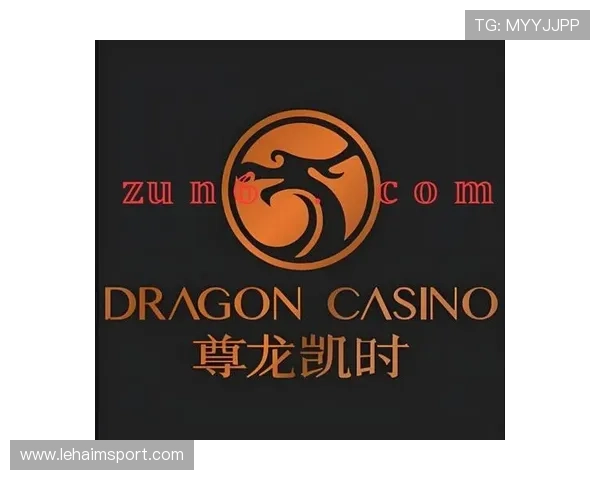 尊龙时凯官方网站入口网页版多设备登录方式与操作技巧指南